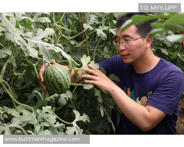 深圳羽毛球队崛起之路：从默默无闻到杯赛荣耀的成长历程