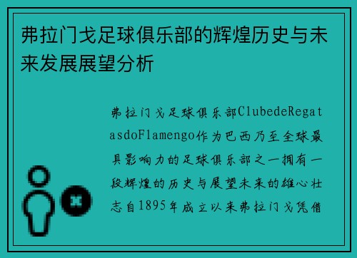 弗拉门戈足球俱乐部的辉煌历史与未来发展展望分析