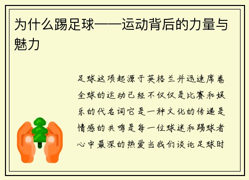为什么踢足球——运动背后的力量与魅力