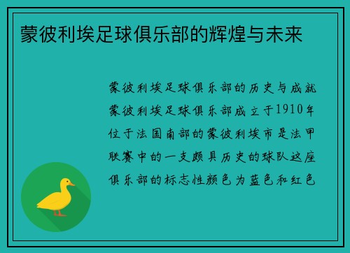 蒙彼利埃足球俱乐部的辉煌与未来
