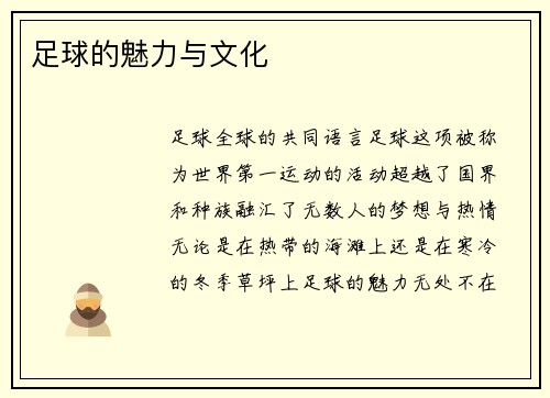 足球的魅力与文化