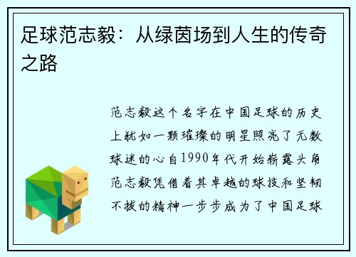 足球范志毅：从绿茵场到人生的传奇之路