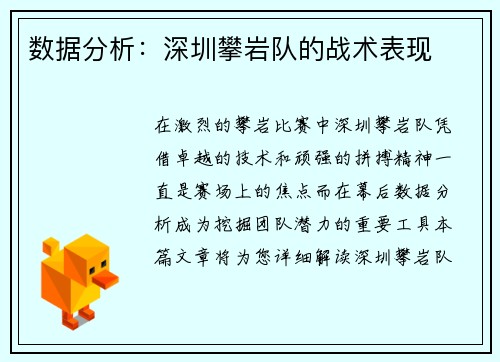 数据分析：深圳攀岩队的战术表现