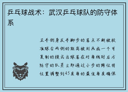 乒乓球战术：武汉乒乓球队的防守体系
